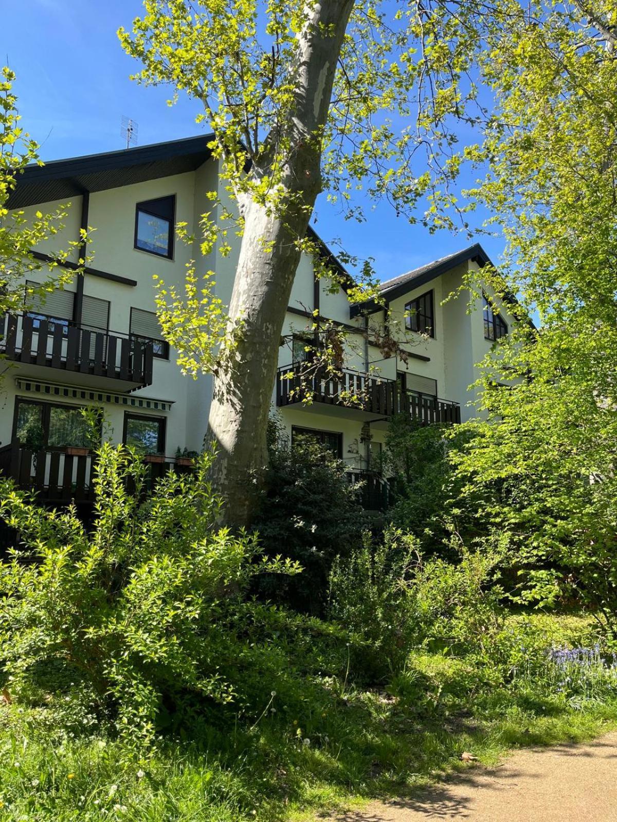 Zentrale Ferienwohnung Am Buhlschen Park In Deidesheim Exterior foto