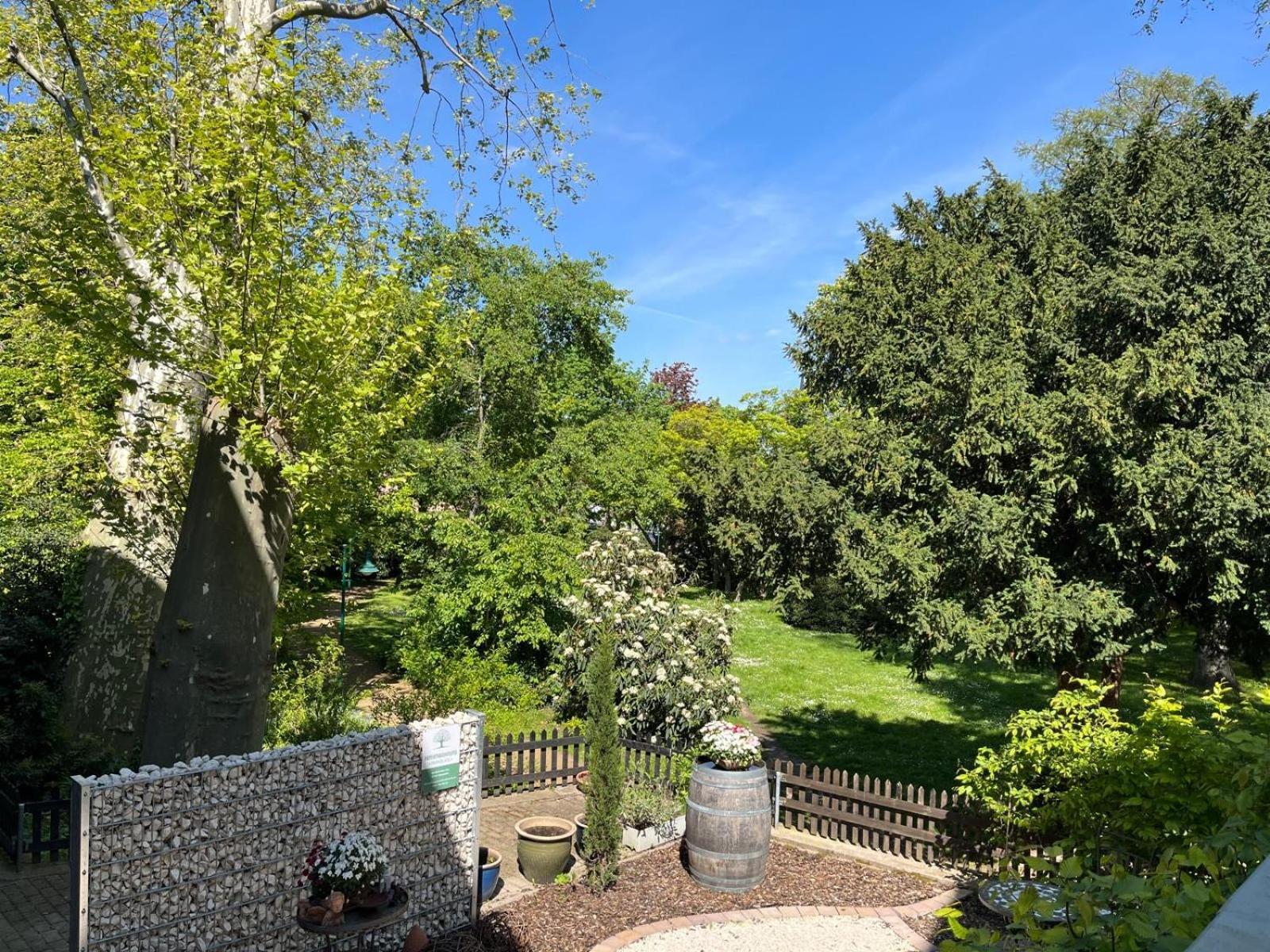 Zentrale Ferienwohnung Am Buhlschen Park In Deidesheim Exterior foto